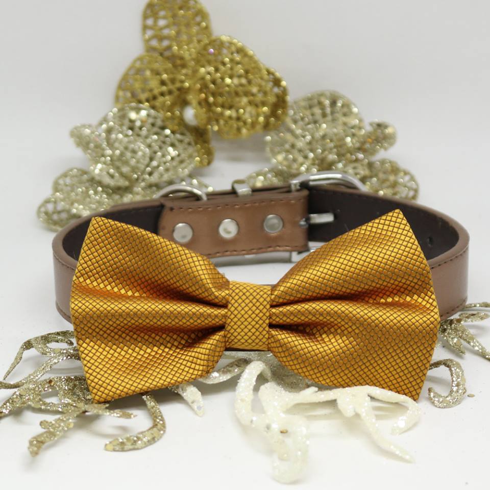 Gold Dog Bow Tie collar, dogs Gift, Pet Wedding, Puppy Love, Handmade , Wedding dog collar