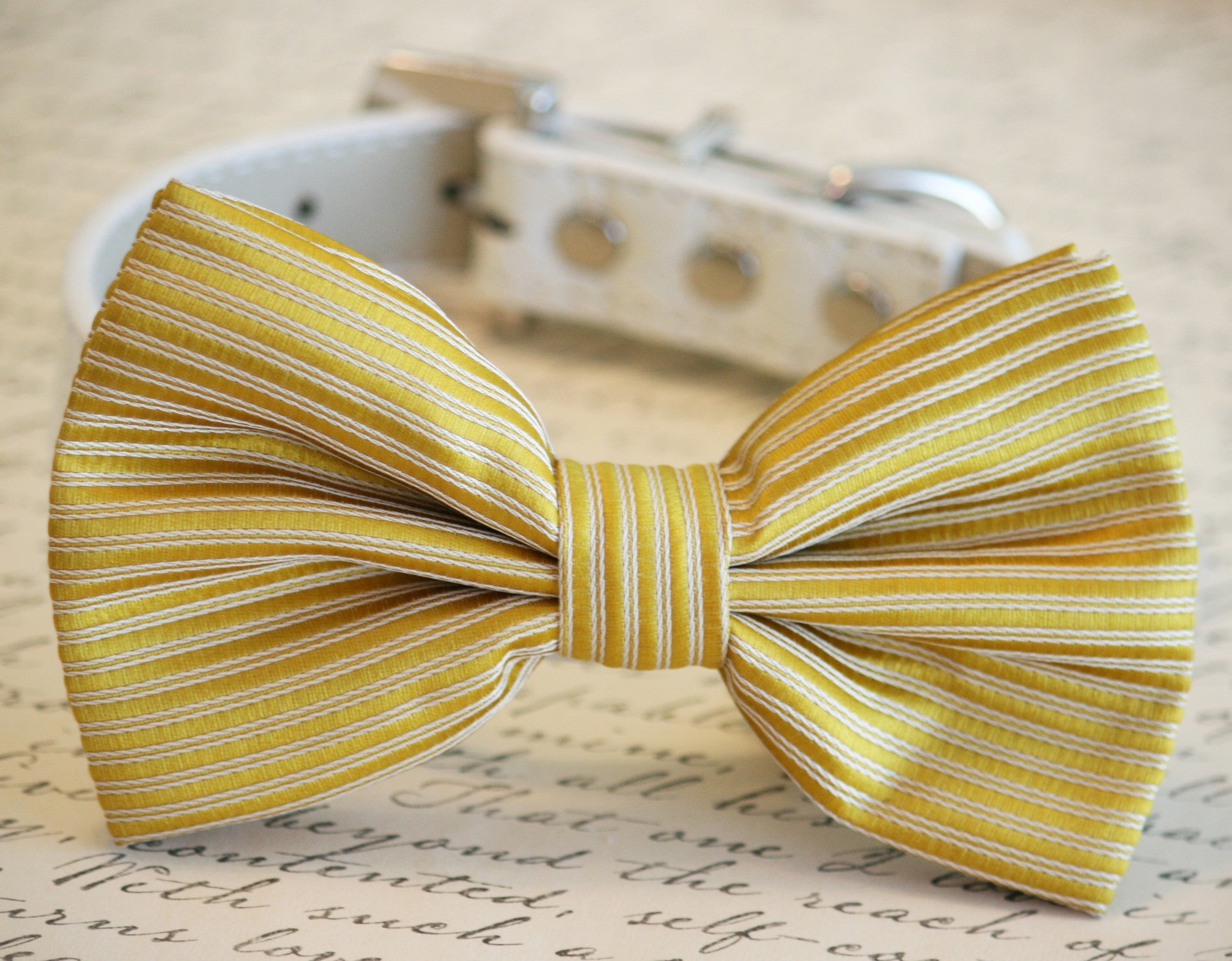 Gold dog bow sales tie