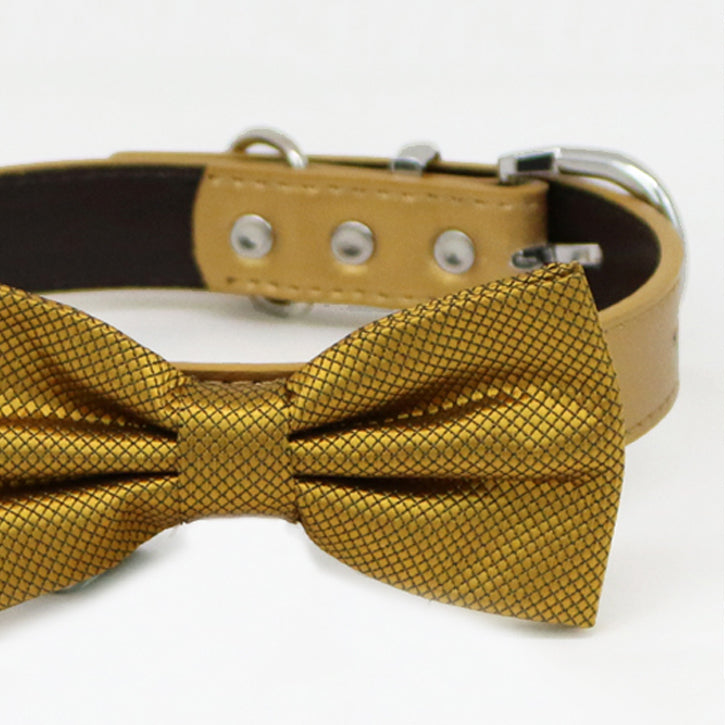 Gold bow tie collar XS to XXL collar and bow tie, adjustable, Puppy bow tie, handmade, Dog ring bearer ring bearer , Wedding dog collar