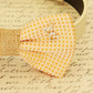 Polka dots Dog Bow Tie collar, Charm, Burlap , Wedding dog collar