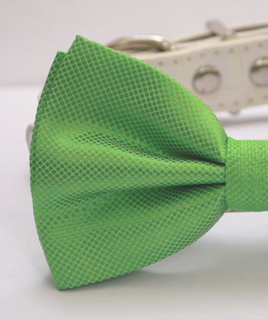 Green Dog Bow Tie with collar, Spring wedding dog accessory, emerald green , Wedding dog collar