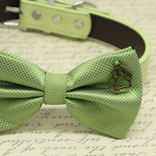 Green dog bow tie collar- Pet wedding accessory Spring wedding - Paw , Wedding dog collar