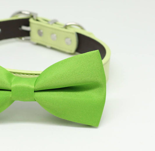 Green dog bow tie attached to collar, Green wedding, dog lovers, Summer wedding , Wedding dog collar