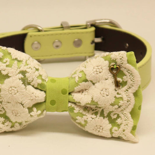 Green Polka Dots Lace dog bow tie collar, Ivory, Key Charm, Pet wedding accessory , Wedding dog collar