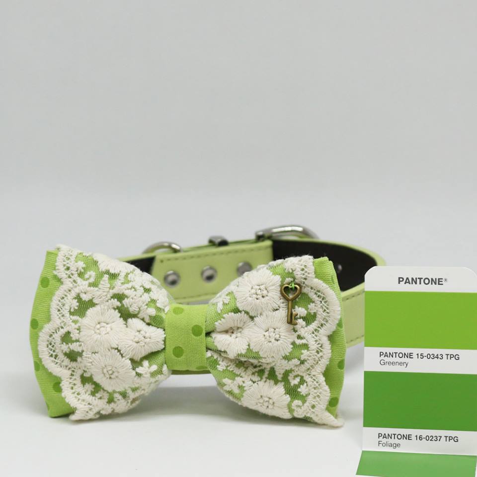 Greenery Lace dog bow tie collar, Color of the Year PANTONE 15-0343, Key Charm, Pet wedding , Wedding dog collar