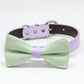 Green and Lavender dog bow tie collar, Country Rustic, Pet Wedding, birthday gift, Color of the year , Wedding dog collar