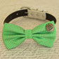 Green Dog Bow tie attached to collar, Dog birthday gift, Pet wedding accessory , Wedding dog collar