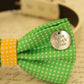 Green Dog Bow Tie attached to collar, dog birthday, Green and Yellow wedding , Wedding dog collar