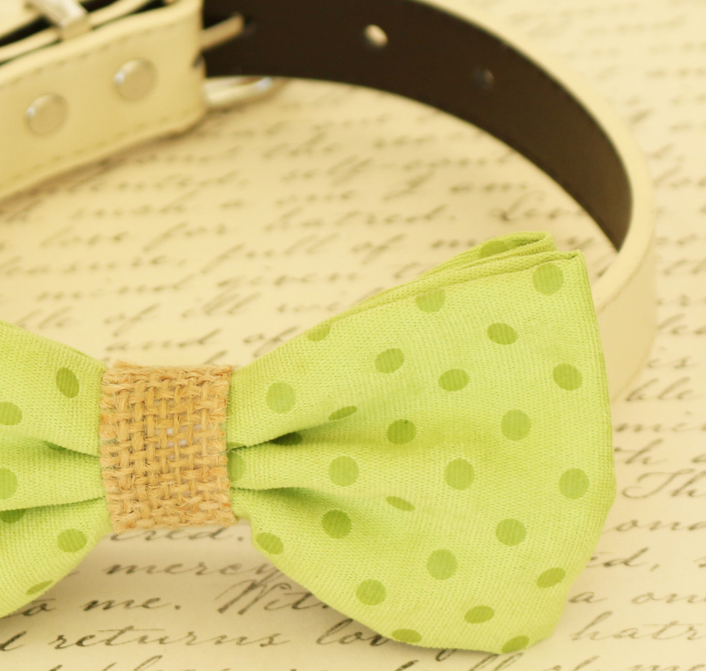 Green dog Bow tie attached to collar, Pet wedding accessory, Burlap , Wedding dog collar