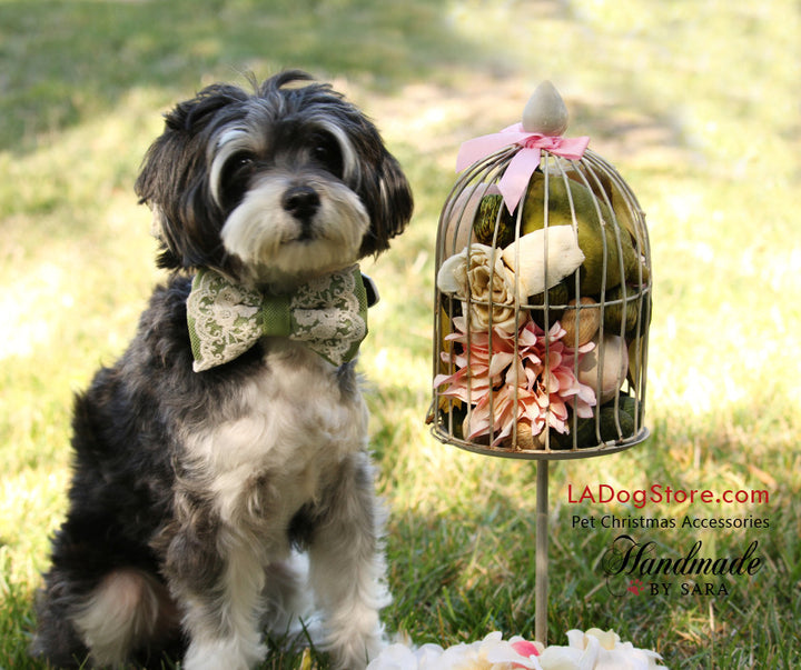Green Lace Dog Bow Tie collar, Dog wedding ideas, lace wedding , Wedding dog collar