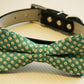Green Bow Tie attached to leather collar, Chic Wedding, dog lovers , Wedding dog collar