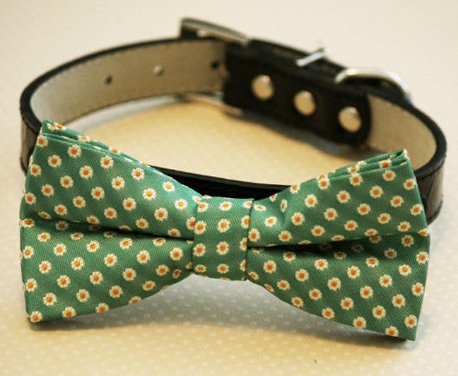 Green Bow Tie attached to leather collar, Chic Wedding, dog lovers , Wedding dog collar