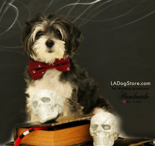 Burgundy dog Skull bow tie attached to dog collar, Halloween pet accessory , Wedding dog collar