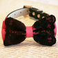 Hot Pink dog Bow Tie with collar, Pet accessory, Dog Birthday , Wedding dog collar