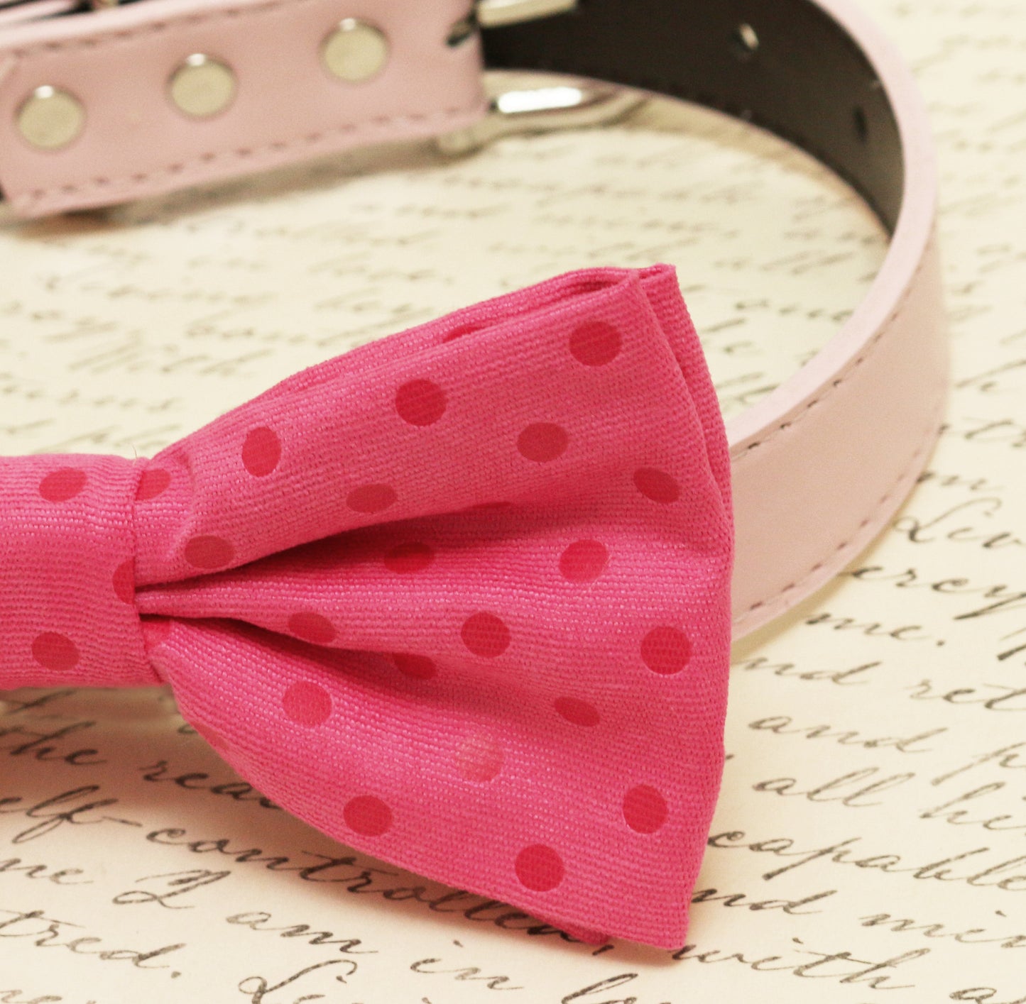 Hot pink dog Bow tie attached to collar, Pet wedding Polka dots bow tie , Wedding dog collar