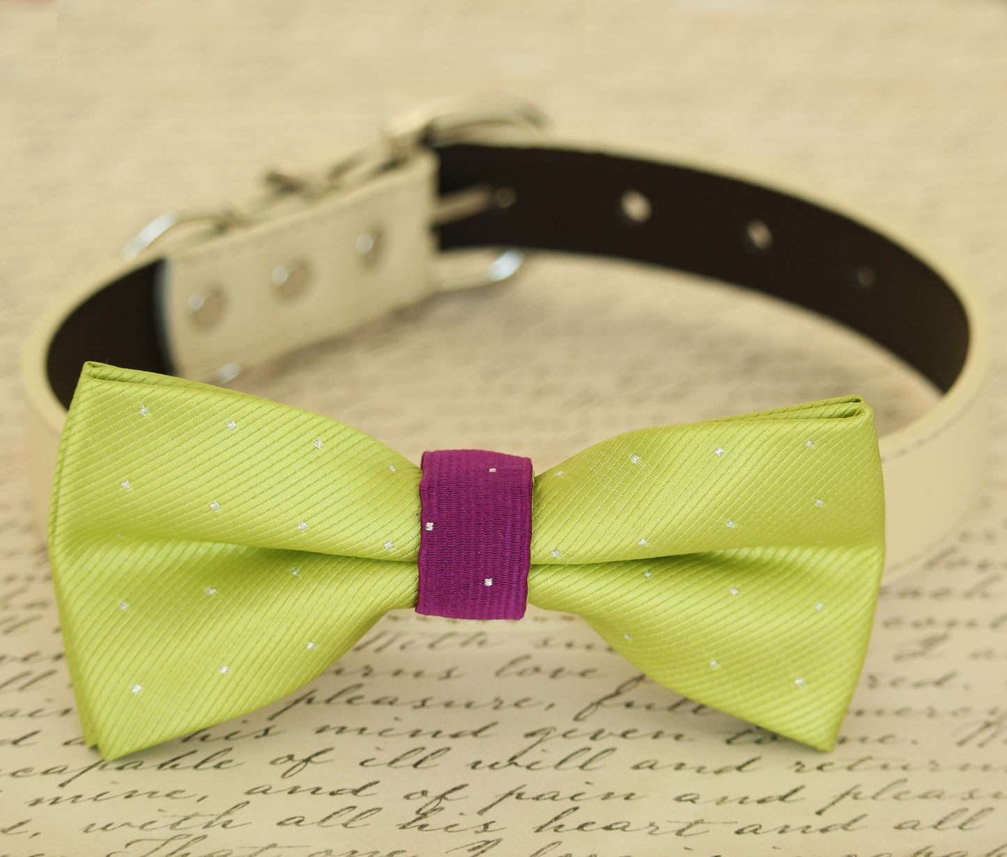 Lime Green dog bow tie attached to dog collar, Green and violet wedding , Wedding dog collar