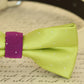 Lime Green dog bow tie attached to dog collar, Green and violet wedding , Wedding dog collar