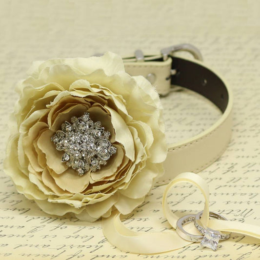 Champagne Ivory Flower Ring Bearer Dog Collar, Pet Wedding, Puppy Proposal, Beaded dogs collar , Wedding dog collar