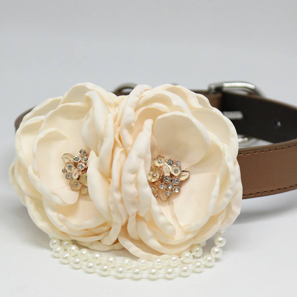 Ivory Flower dog collar, Pet wedding accessory, Pearls, Rhinestone, Dogs birthday, Puppy Lovers , Wedding dog collar