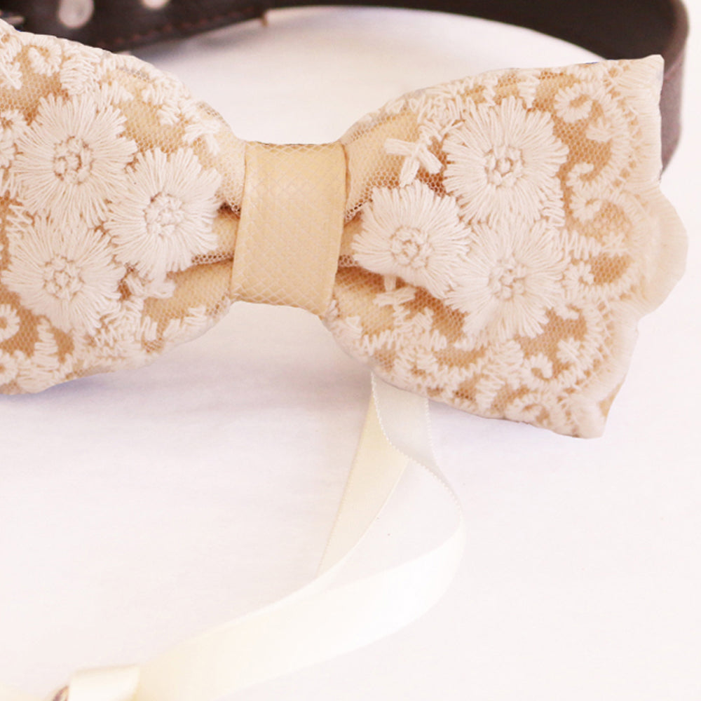 Ivory lace bow tie collar Dog ring bearer ring bearer adjustable handmade M to XXL collar bow, Puppy, Proposal , Wedding dog collar