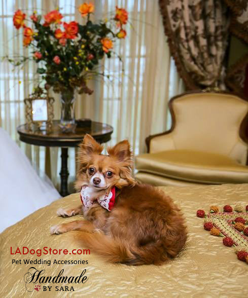 Red Lace Dog Bow tie, Pet Wedding, Victorian , Wedding dog collar