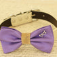 Lavender dog bow tie, Bow tie attached to dog collar, Lavender wedding accessory , Wedding dog collar