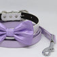 Dog collar leash, Lavender Bow tie, Lilac Leash, Handmade, Puppy Gift, Dog collar wedding, Dog ring bearer , Wedding dog collar