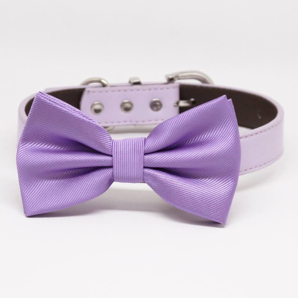 Lavender Dog Bow tie collar, Pet wedding Accessory, Puppy Love, Birthday Gift , Wedding dog collar
