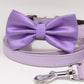Dog collar and Leash, Lavender Bow tie, Puppy Gifts, Pet wedding, Dog ring bearer , Wedding dog collar