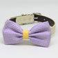 Lavender Purple and Yellow Dog Bow tie collar, birthday gift, Pet wedding accessory, Polka dots , Wedding dog collar
