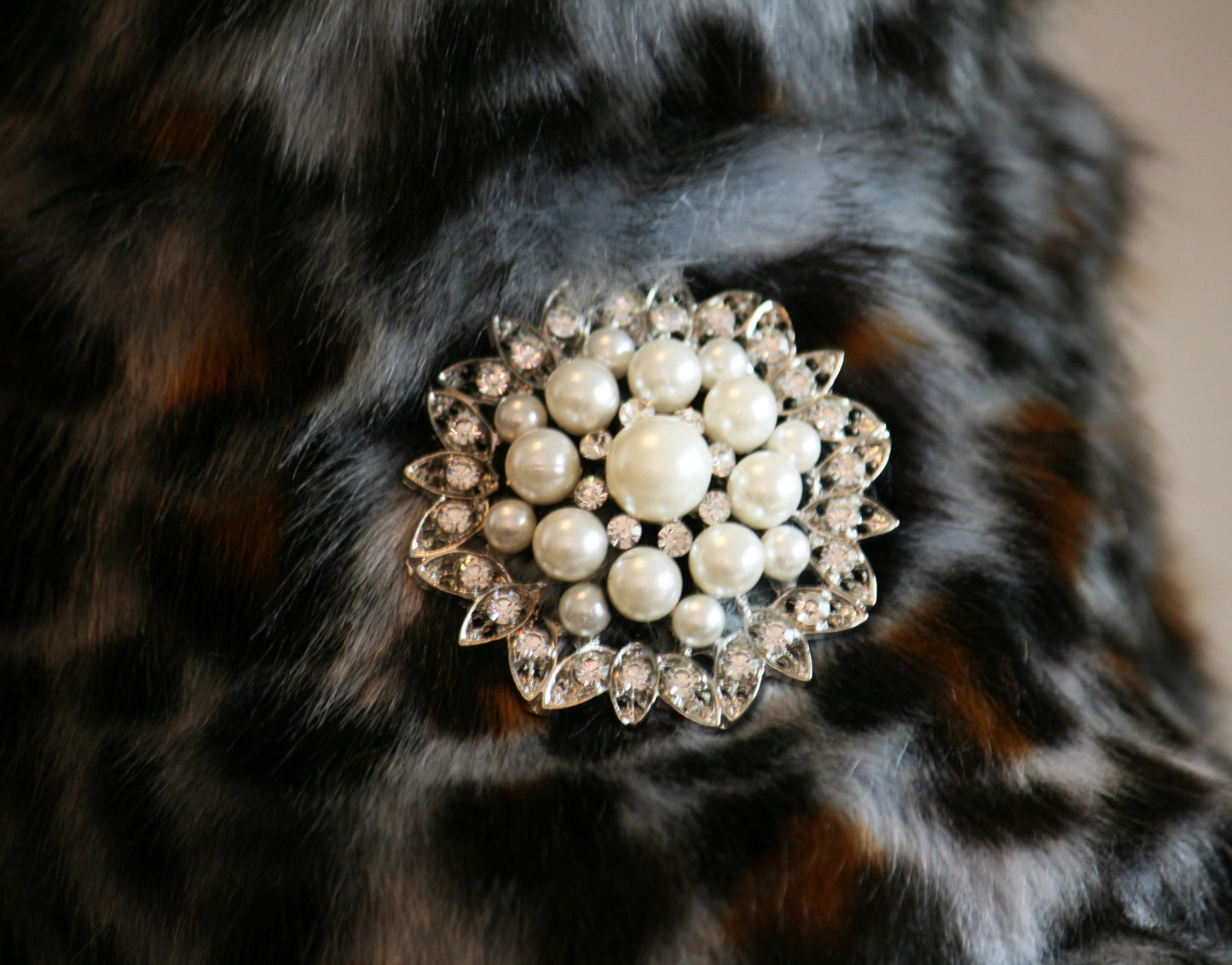 Leopard Dog Coat, clothing, Jacket, Pets Dress, Birthday gift , Wedding dog collar