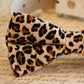 Leopard Dog Bow Tie attach to collar, Pet lovers, leopard wedding , Wedding dog collar
