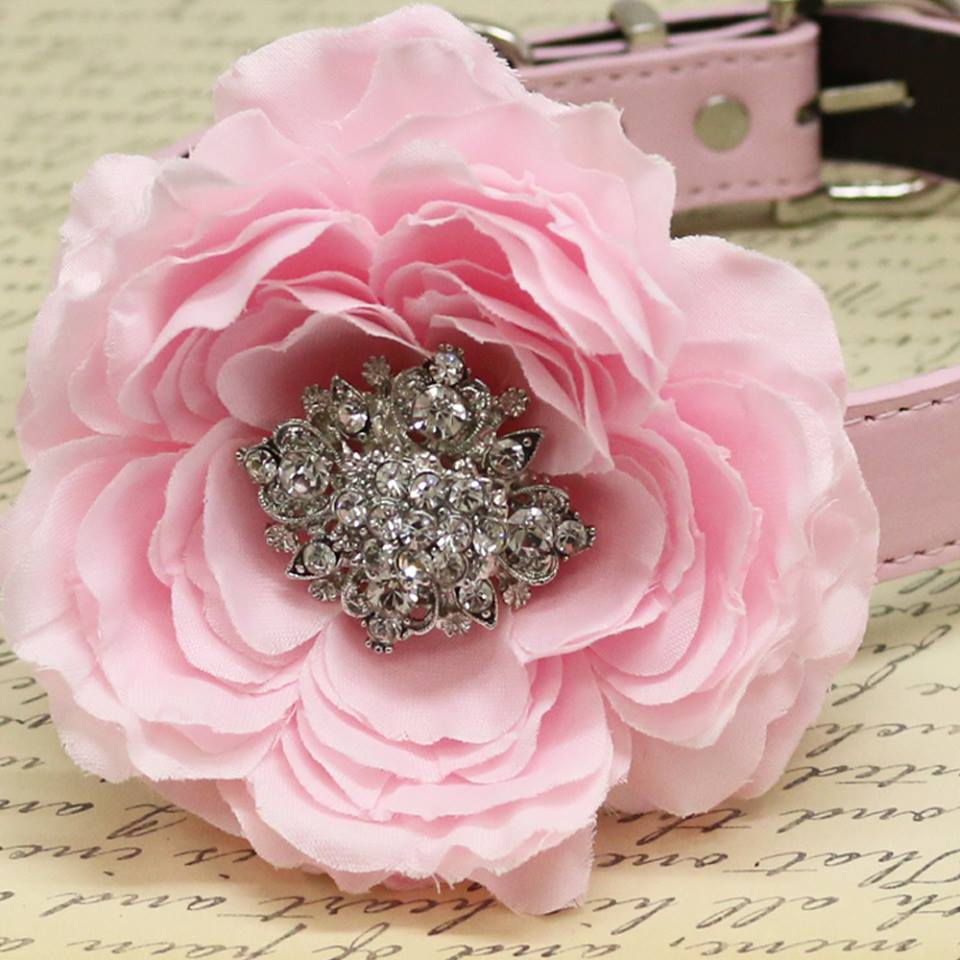 Light Pink Floral Dog Collar with Rhinestone, Wedding Pet accessory, Puppy  Love, Peony – LA Dog Store