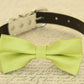 Lime Green dog bow tie attached to dog collar, Pet wedding accessory , Wedding dog collar