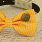 Yellow Dog Bow tie attached to collar, Dog birthday gift, Pet wedding accessory , Wedding dog collar