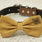 Mustard Dog Bow Tie collar, Pet wedding accessory, Country Rustic, Heart , Wedding dog collar