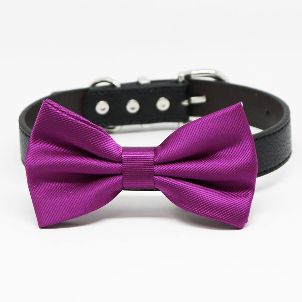 Dark Magenta Bow tie Dog collar, Pet wedding Accessory, Puppy Love, Birthday Gift , Wedding dog collar