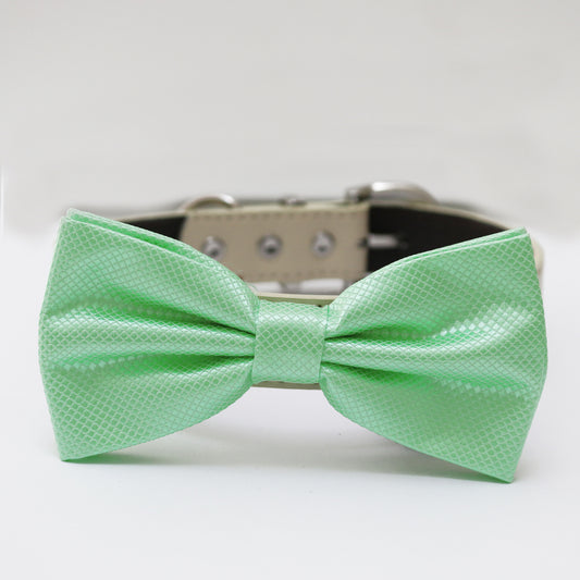 Mint green bow tie collar XS to XXL collar and bow tie adjustable Puppy bow tie handmade Dog ring bearer ring bearer Ivory white collar