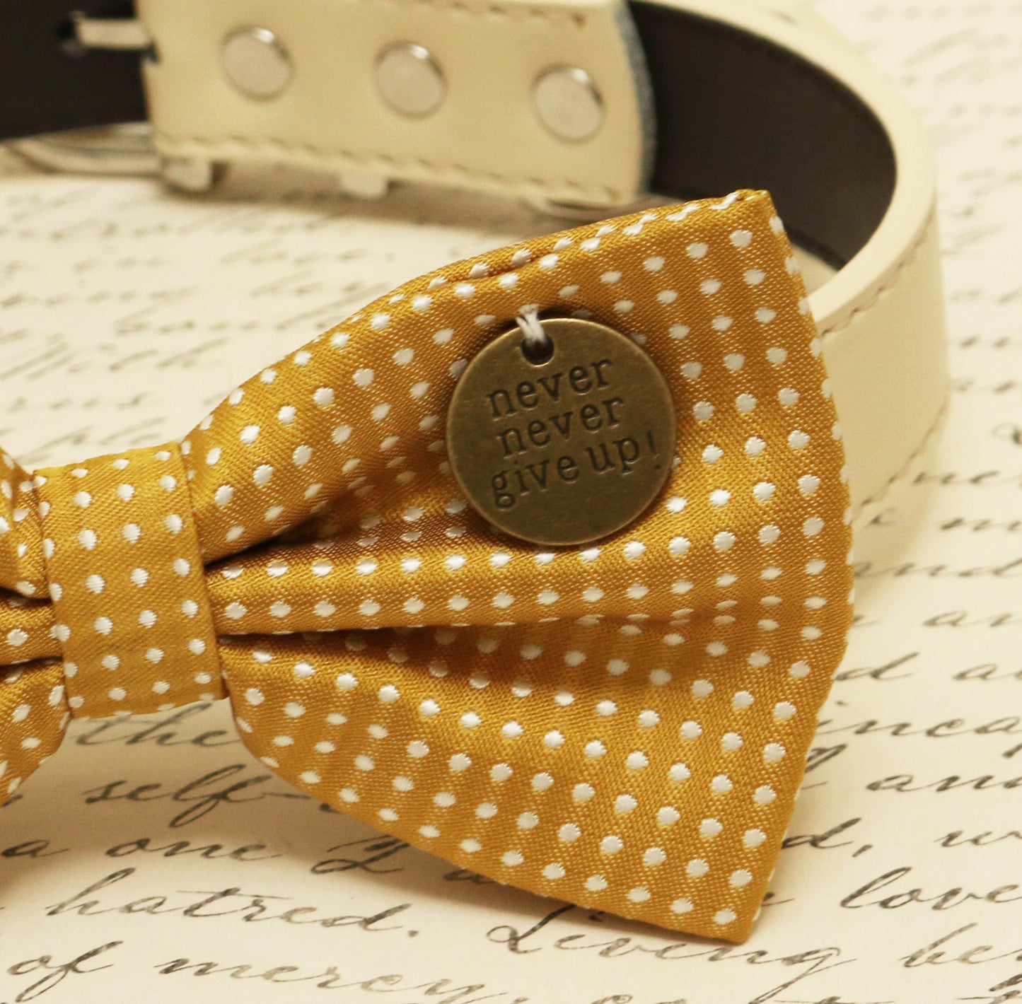 Mustard dog Bow attached to collar, Pet accessory, Charm, Never Never Give up , Wedding dog collar