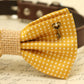 Dog Bow Tie attached to collar, Pet wedding accessory, Charm, Cat bow, Burlap , Wedding dog collar