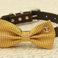 Mustard Dog Bow Tie, Polka dots attached to collar, Beach wedding , Wedding dog collar