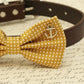 Mustard Dog Bow Tie, Polka dots attached to collar, Beach wedding , Wedding dog collar