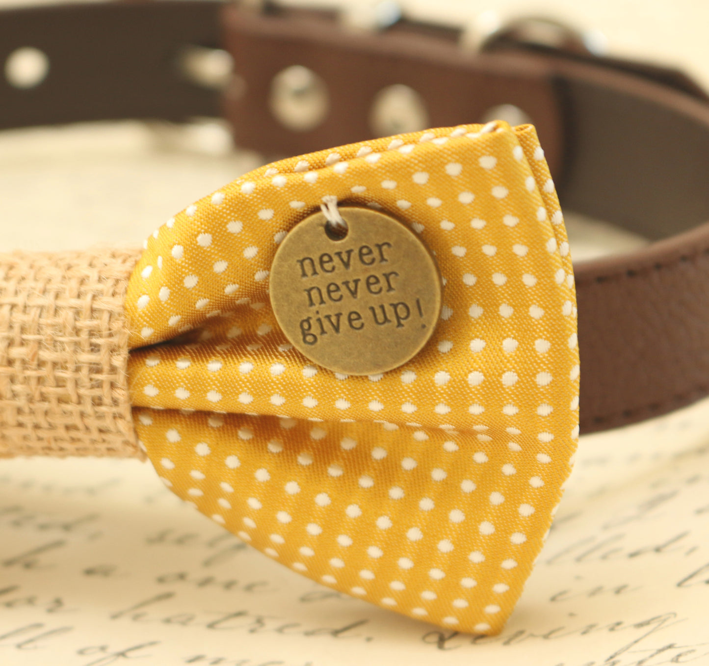 Mustard Bow Tie attached to brown dog collar, Charm, Cat bow, Burlap , Wedding dog collar