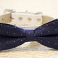 Navy dog bow tie, Navy Blue Wedding dog accessories - Chic Dog Bow tie , Wedding dog collar