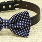 Navy bow tie Dog Collar, Black Gray Brown Ivory Champagne Copper Gold or white Leather dog collar, Puppy bow tie, XS to XXL collars and bow , Wedding dog collar