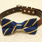 Navy dog bow tie attached to collar, pet wedding, Navy and gold wedding , Wedding dog collar