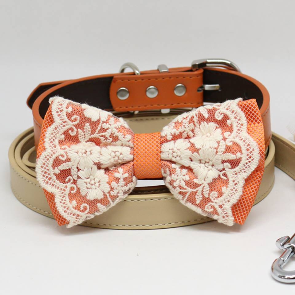 Orange and Lace Bow tie Dog collar Champagne Leash, Handmade, Pets wedding, Puppy Lovers, Lace , Wedding dog collar