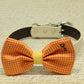 Orange and Yellow Dog Bow Tie collar, Pet wedding, Key of Heart Charm, Polka dots , Wedding dog collar