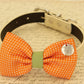 Orange Dog Bow Tie attached to collar, Pet wedding accessory, dog birthday gift , Wedding dog collar