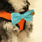 Dog Harness, Bow attached to dog harness , Wedding dog collar